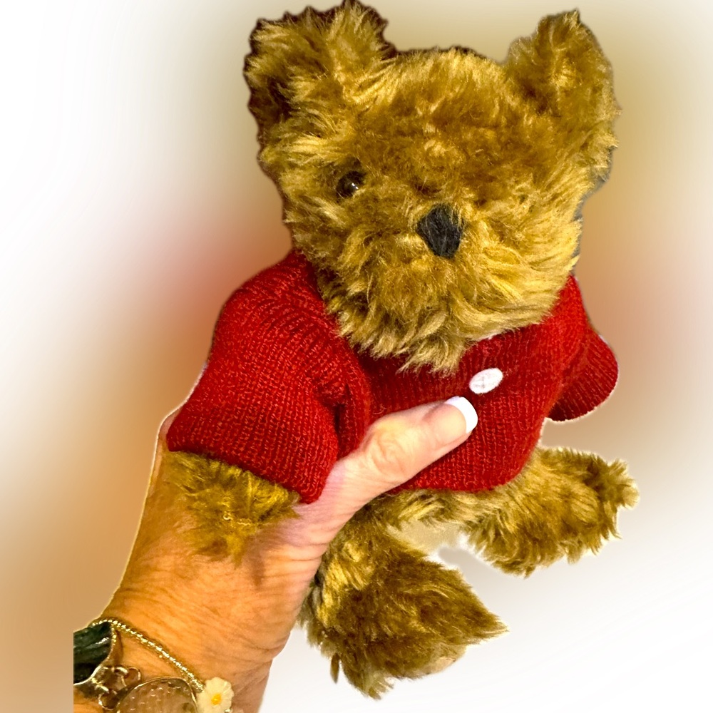 VTG LITTLE TEDDY LEFT BEHIND ANNE MANGAN STORYBOOK PLUSH BROWN RED SWEATER 8”